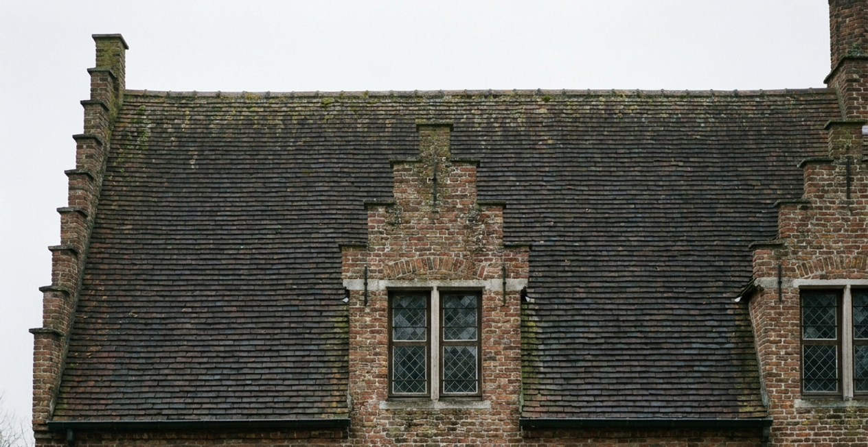 Verweerd hellend dak vóór renovatie, met versleten pannen
